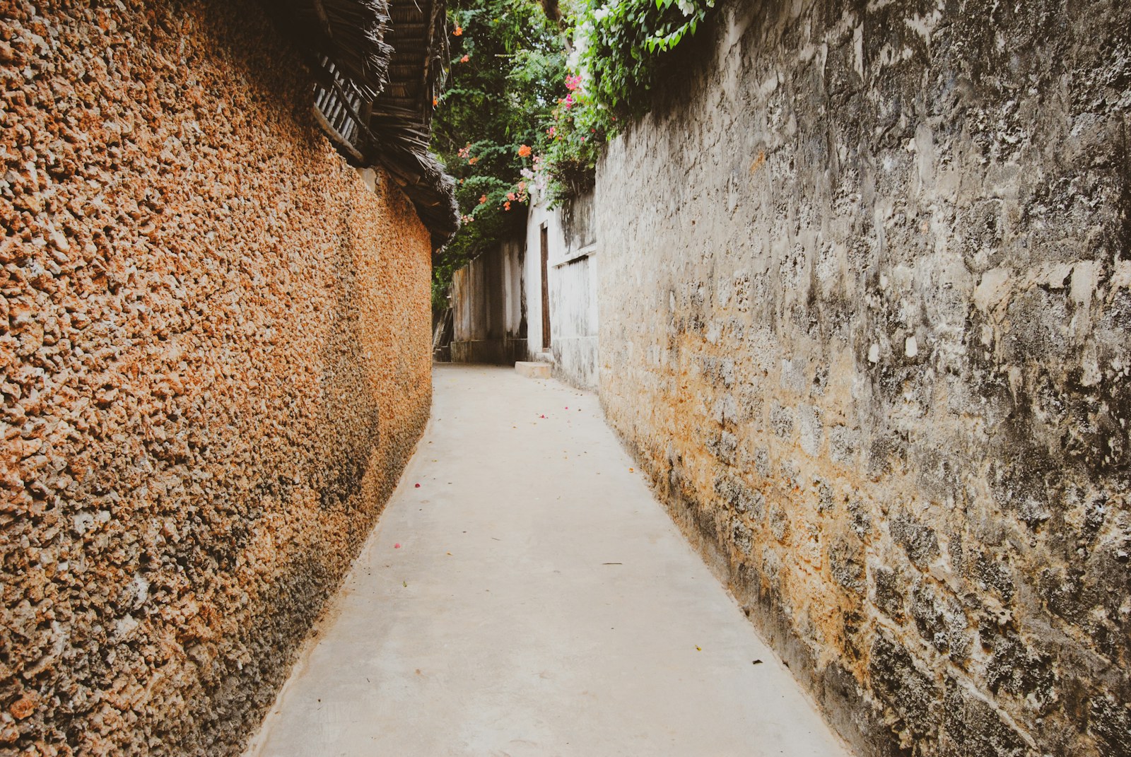 Lamu Island: Kenya safari destination