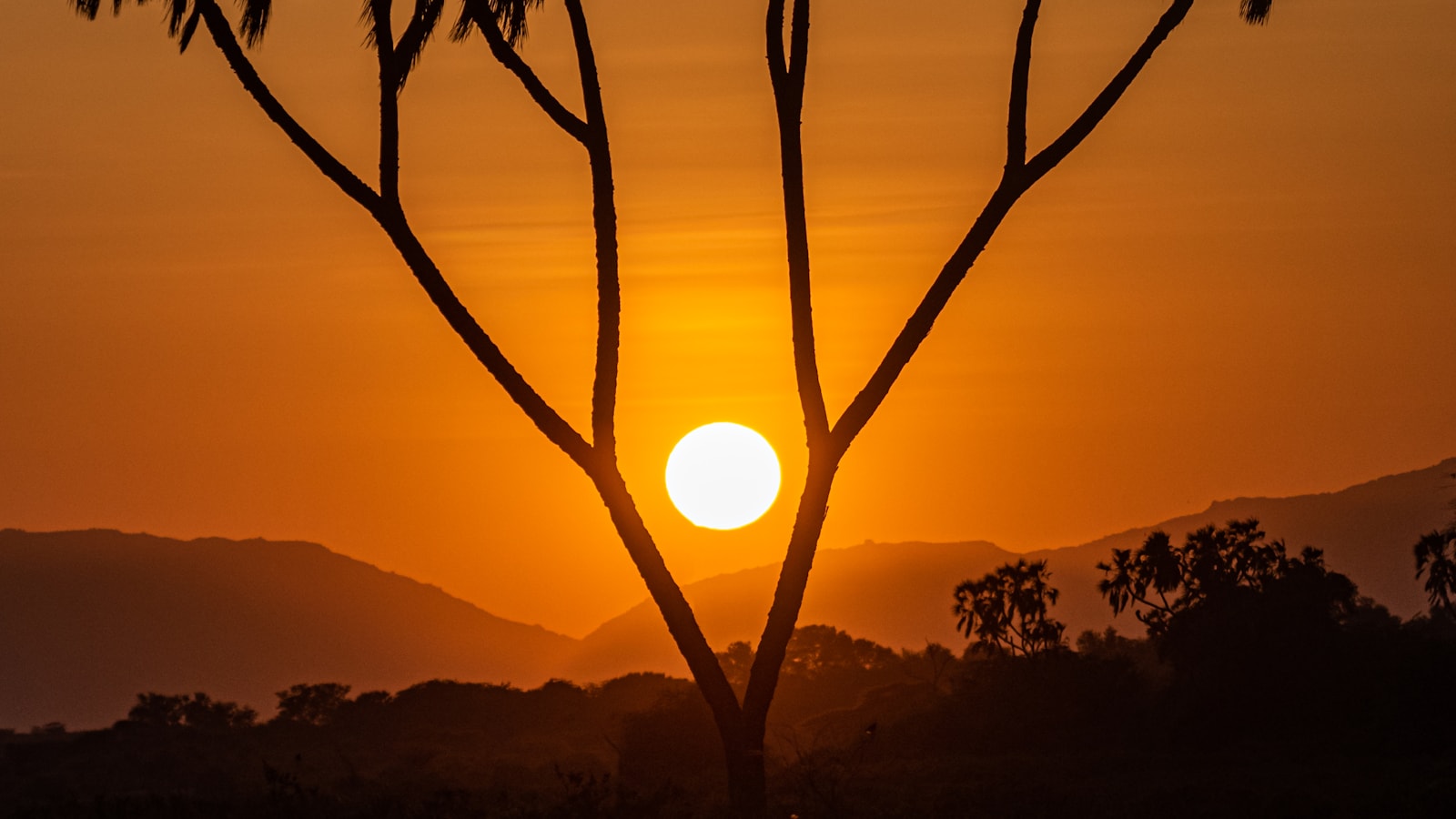 Samburu National Reserve: Kenya safari destination