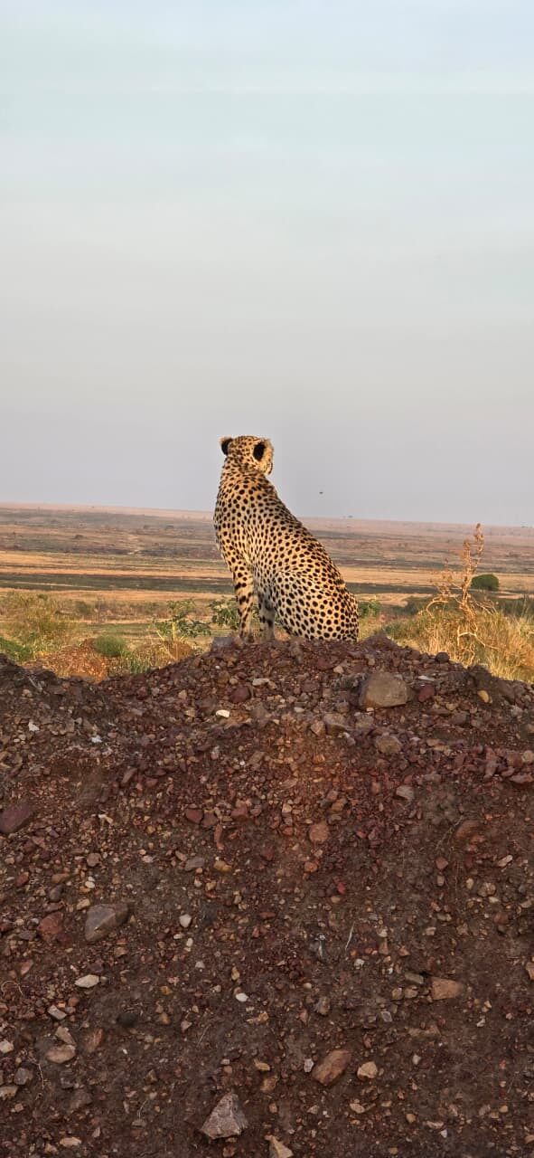 Kenya safari moment
