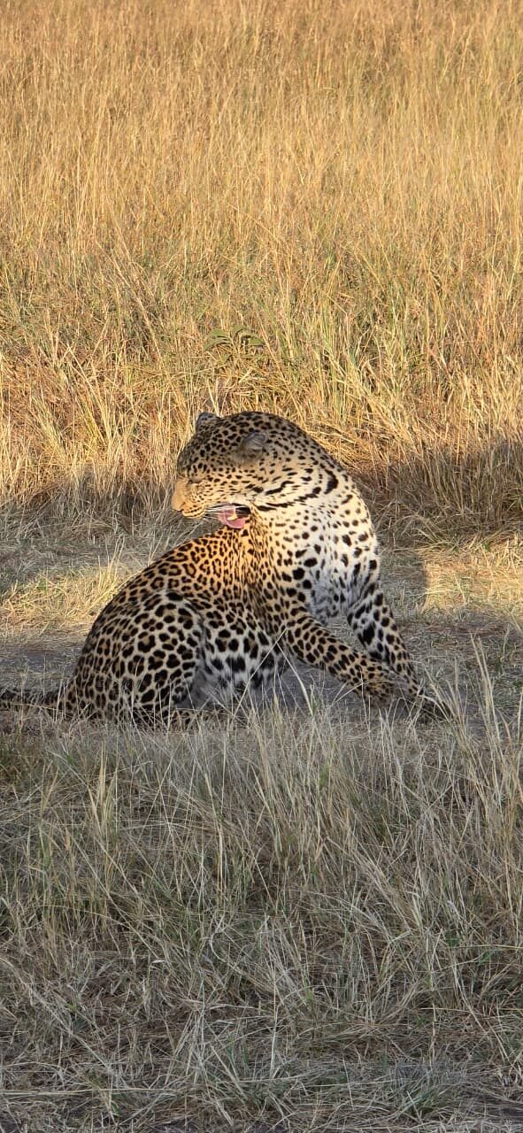 Sunrise game drive