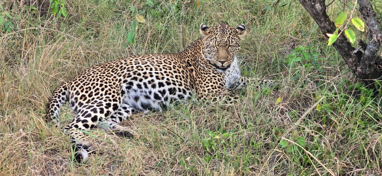 Cultural encounters in Kenya