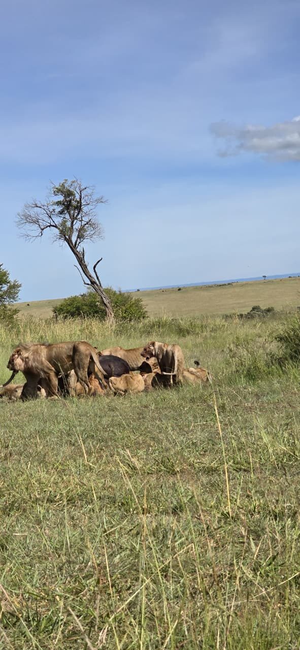 Landscapes of Kenya