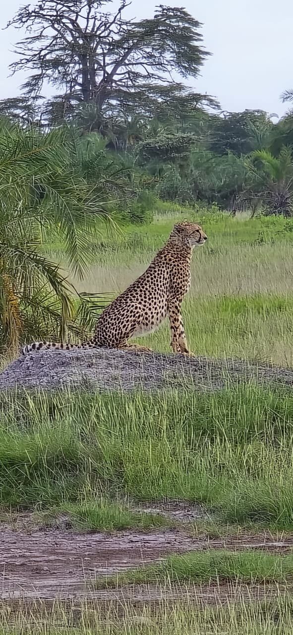 A moment on safari