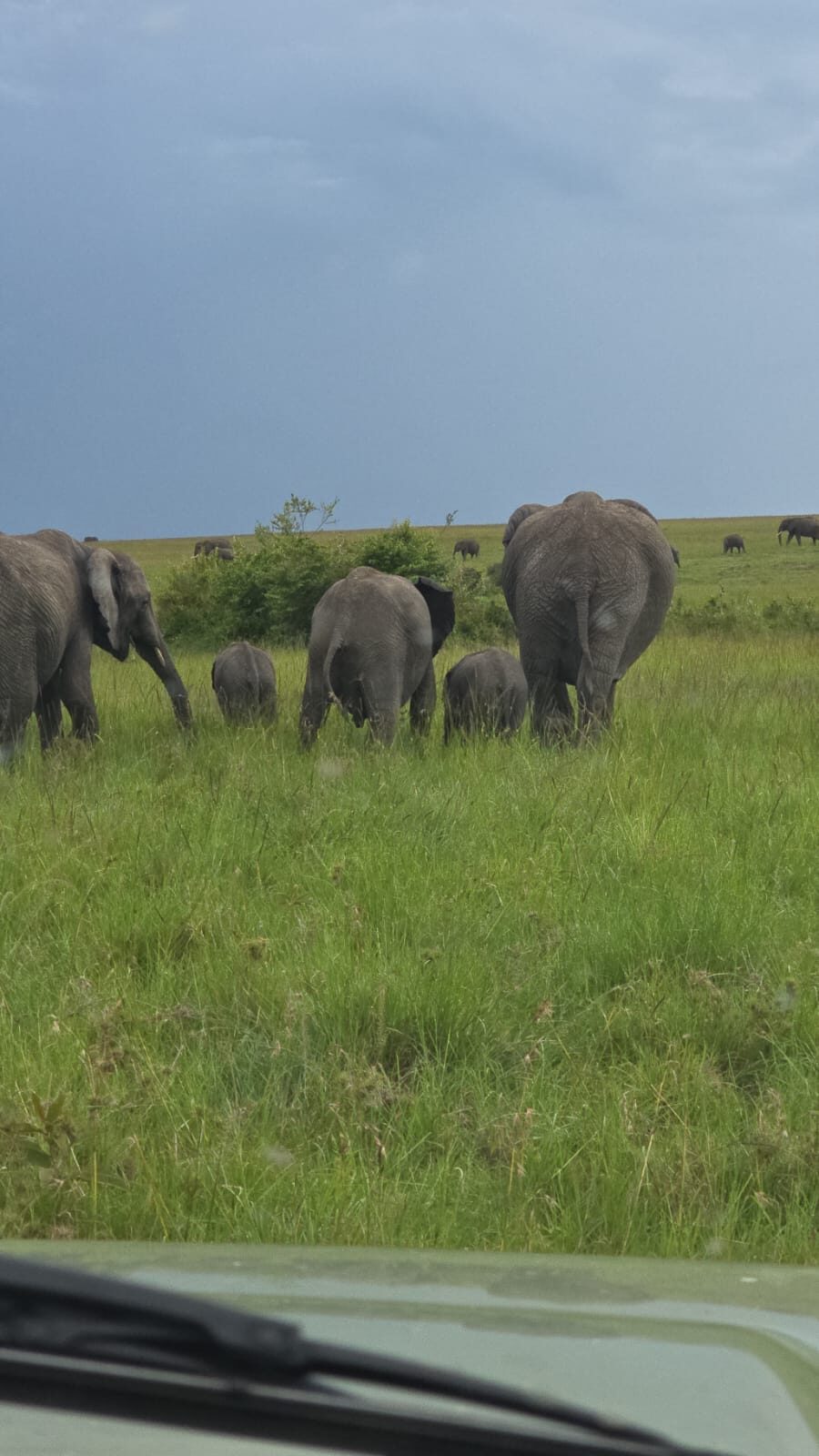 The magic of a Kenyan safari