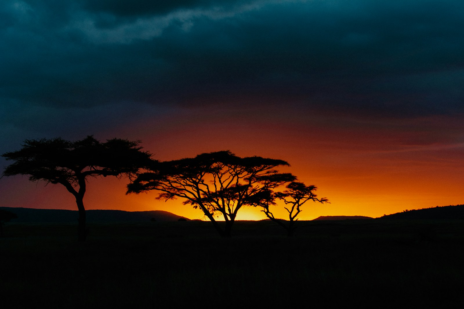 12-Day Kenya & Tanzania Safari: 12-day Kenya safari package
