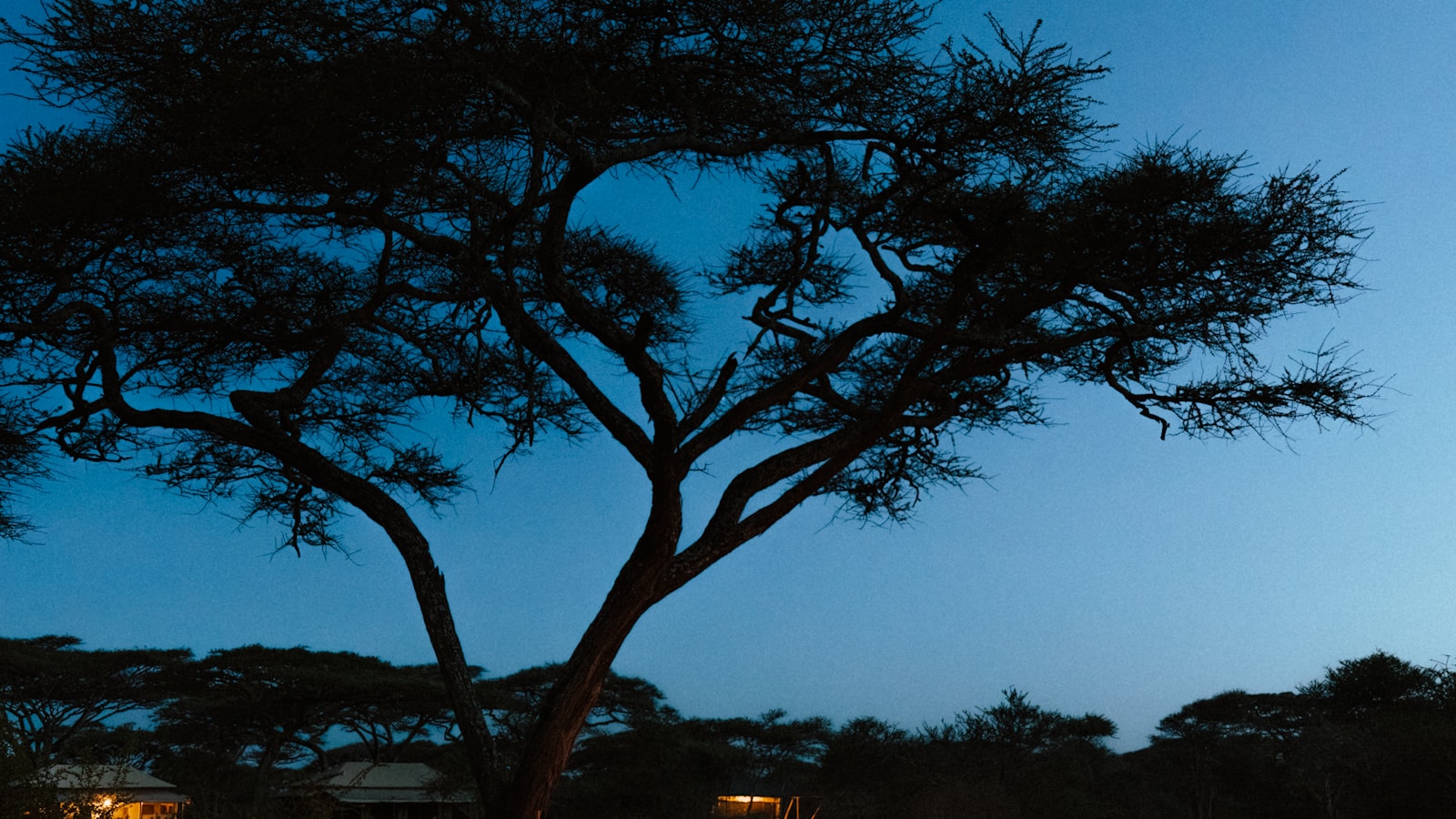 4-Day Budget Camping Safari: 4-day Kenya safari package