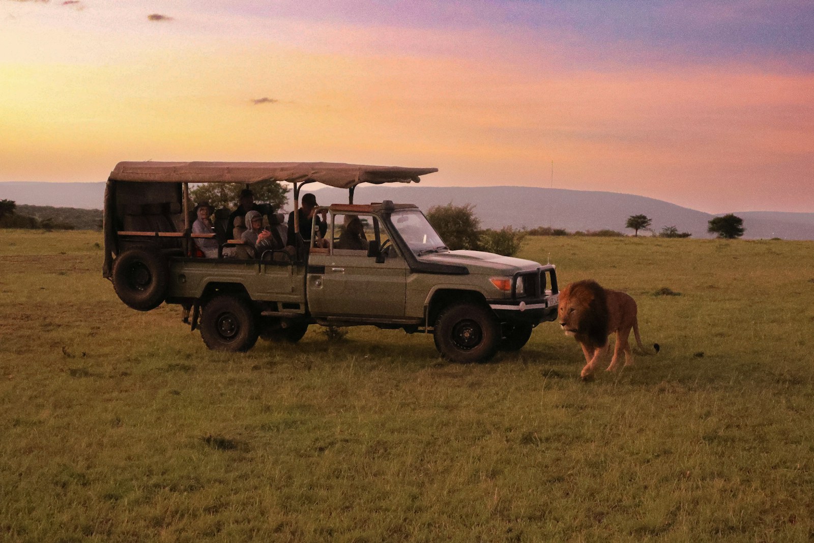 7-Day Classic Kenya Safari: 7-day Kenya safari package